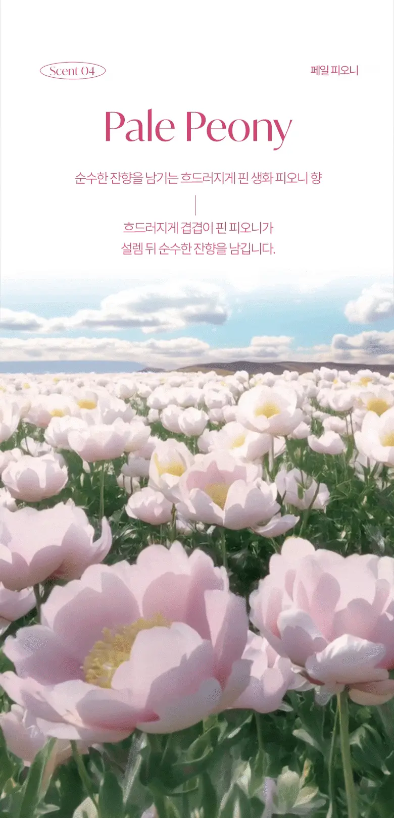 [탈취만족100%] 라운드어라운드 편백 클린 스프레이160ml/리필기획 상세페이지 23